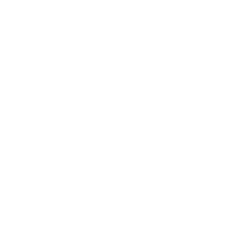 zigzag moustache 1.png